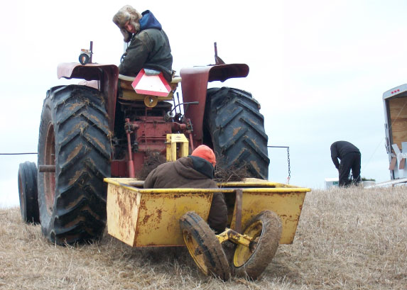 Tree planting and site preparation vendors