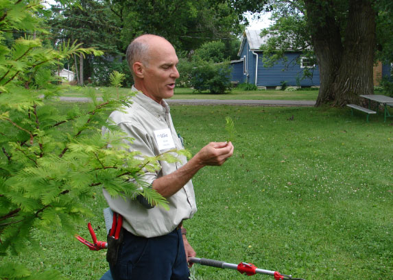 Community Tree Management Institute