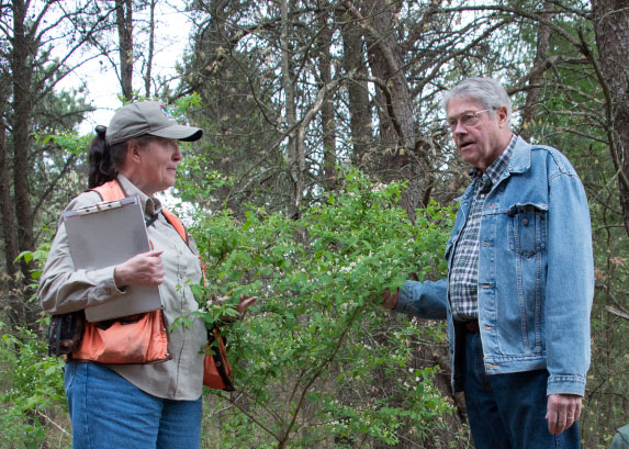 Wetland Mapping