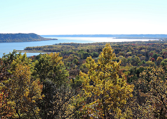 Mississippi River Forestry