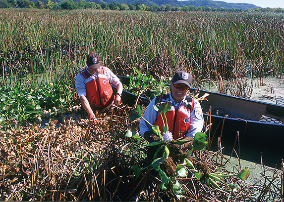 Mississippi River Invasive Species