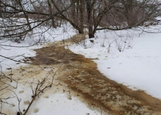 Manure and drinking water