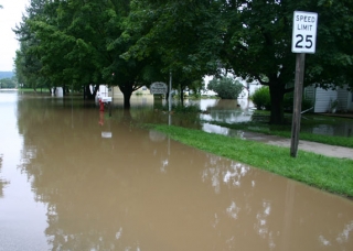 Cleaning up storm debris