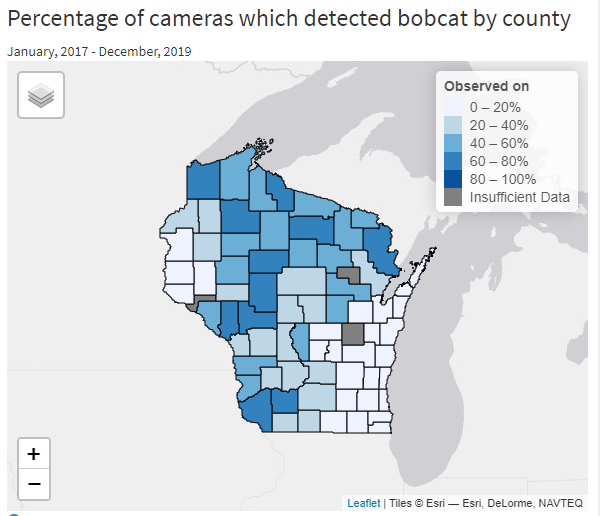 Bobcat views by county