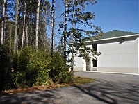 Natural woodland area near a parking lot.