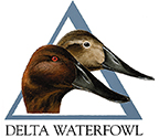 Delta Waterfowl