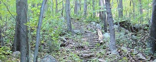 Sandhill Wildlife Area