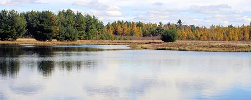 Black River State Forest