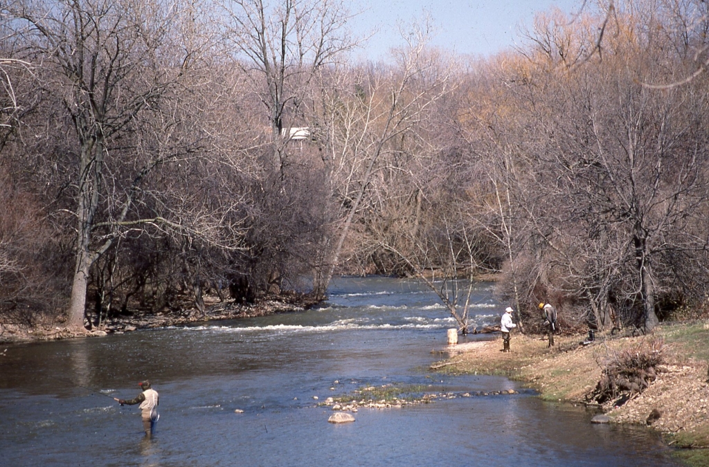 Lake Michigan Stream Anglers