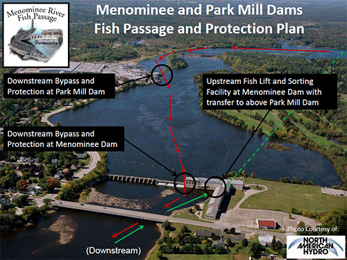 Overview of the fish passage