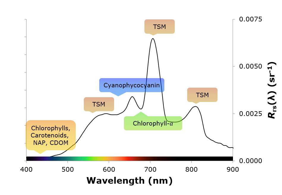 Link to line chart of the remote sensing reflectance spectrum for the Spirit River Flowage acquired on 07/21/2015 (PDF)