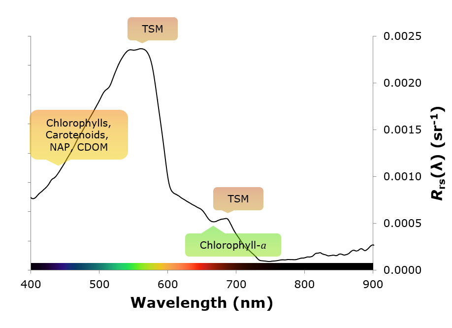 Link to line chart of the remote sensing reflectance spectrum for Trout Lake acquired on 07/21/2015 (PDF)