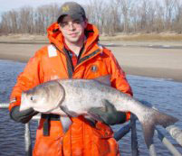 Bighead Carp. USGS Photo