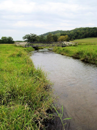 Lodi Spring Creek