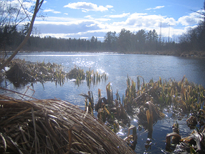 Sawyer Creek