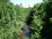 Evergreen River