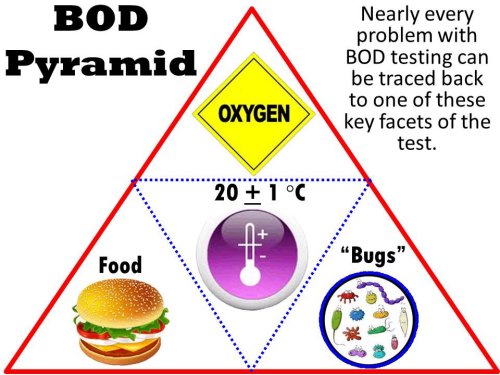 the BOD pyramid