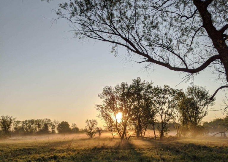 Sunset Behind Trees at Badfish Wildlife Area