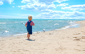 "Making Friends on the Beach" by Diane Johnson.