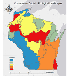 Cumulative CC spatial values map