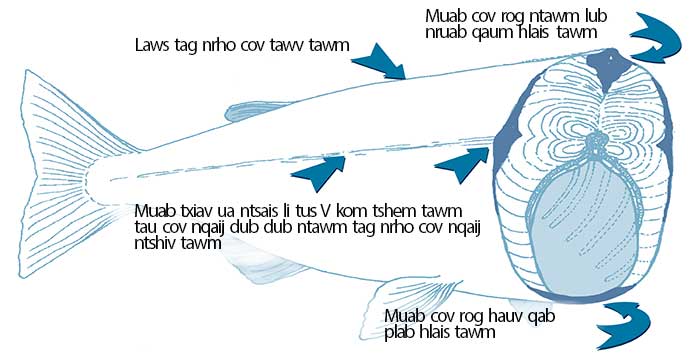 Fish cut away Hmong