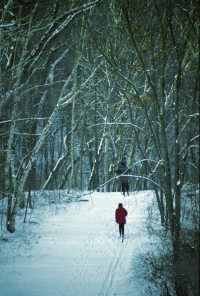 Cross country skiing