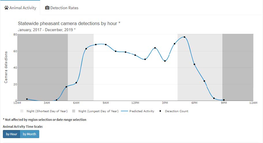 Pheasant activity by hour of the day