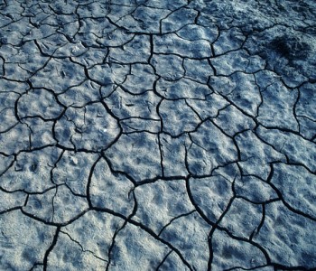 A very dry dirt field, showing cracks from lack of water