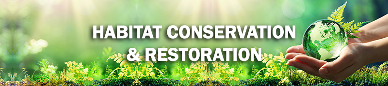 Habitat Conservation