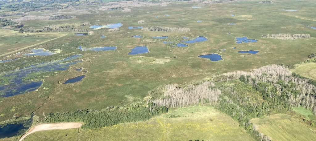 Eldorado marsh air photo