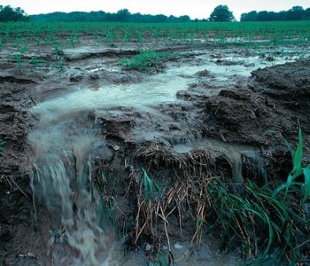 A flooded field with water carrying nutrients running off into a ditch