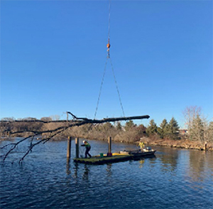 Habitat replacement activity along the Fox River.