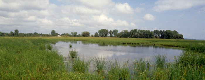 Green Bay West Shores Wildlife Area