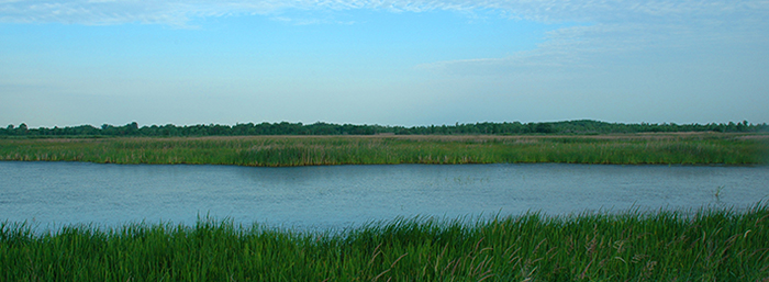 Oconto Marsh Unit