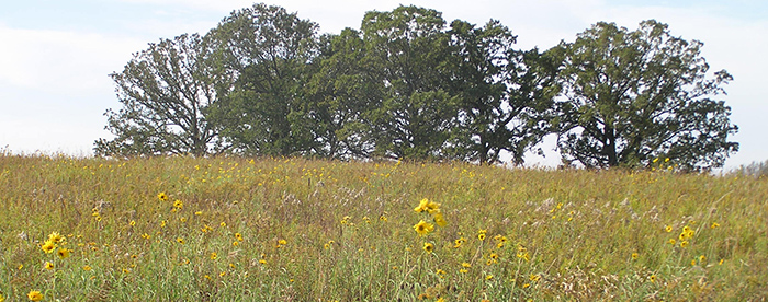 Glacial Habitat Restoration Areas