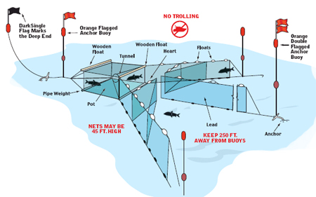 Trap net diagram