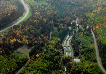 An aerial view of Brule fish hatchery in the fall.