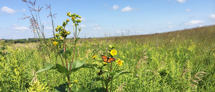 Western Prairie Habitat Restoration Area