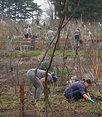 Legacy Communities Resources - Urban Ag