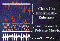 Graphic explaining luminescence DO measurement theory