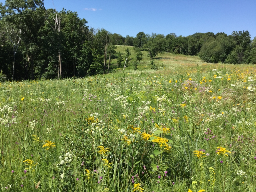 Landowner Incentive Program project