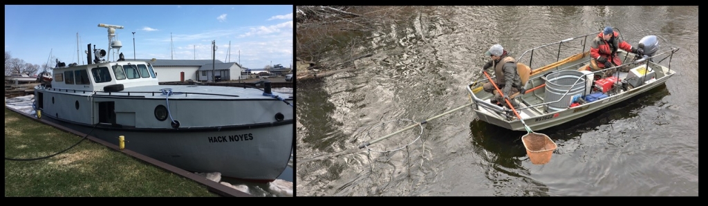 Combined picture with two image showing the Hack Noyes boat and staff conducting Fishery Assessments.