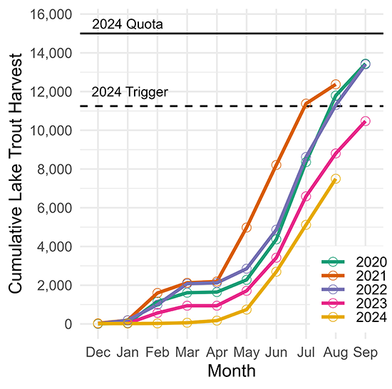 Figure of lake trout harvest trends from 2019 to 2024