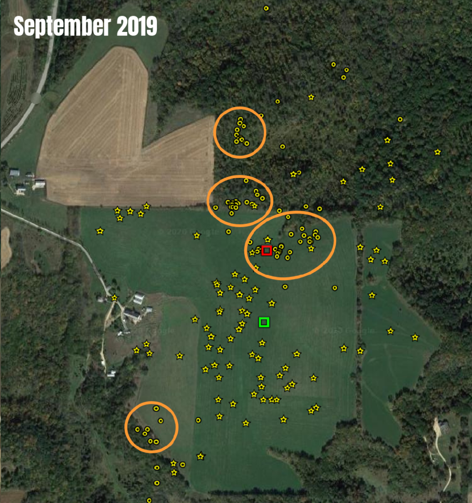 Map of a buck's movements in September 2019 - Highlighted daytime bedding area