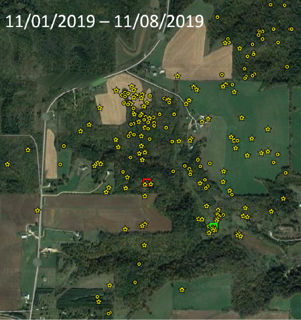 Map of a buck's movement during the first week of the rut