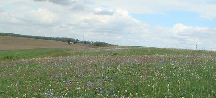 Mud Lake Wildlife Area