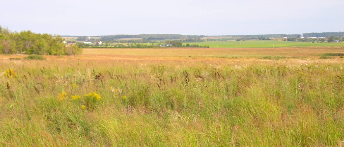 Nagel Wildlife Areas