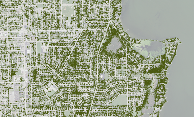 An aerial image of the city of Neenah, featuring dark green areas where trees are present.