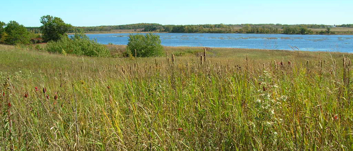 Oakridge Wildlife Area