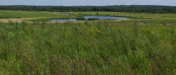 Oden Wildlife Area